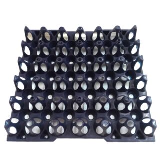 30-Egg Capacity Plastic Tray