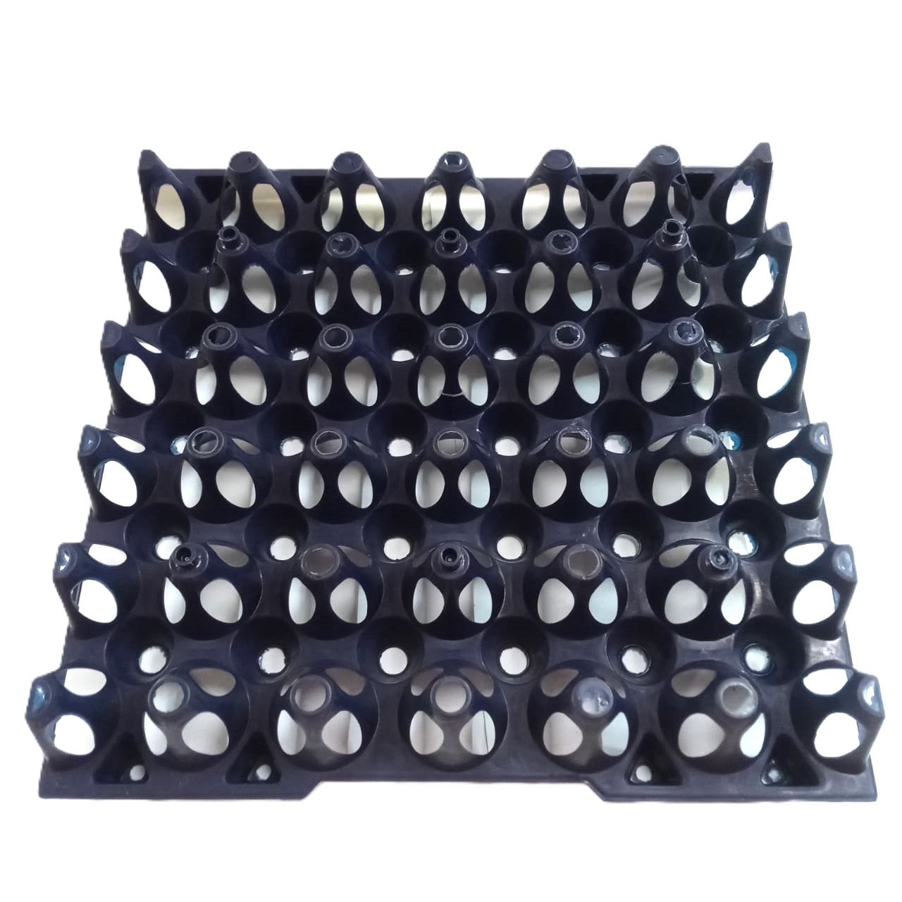 30-Egg Capacity Plastic Tray